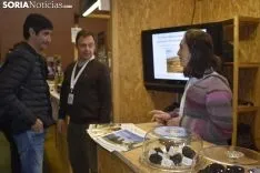 Feria de la Trufa Negra de Soria en Abejar. 