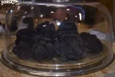 Feria de la Trufa Negra de Soria en Abejar. 