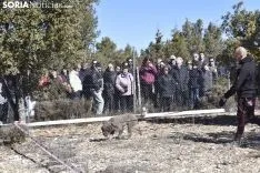 Concurso de Caza de Trufa con Perros. /EM