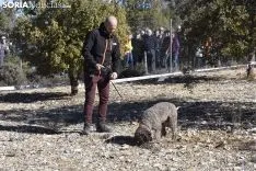 Concurso de Caza de Trufa con Perros. /EM