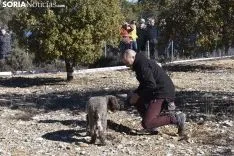Concurso de Caza de Trufa con Perros. /EM