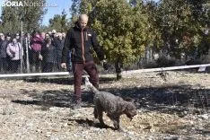Concurso de Caza de Trufa con Perros. /EM