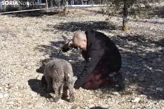 Concurso de Caza de Trufa con Perros. /EM