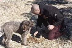 Concurso de Caza de Trufa con Perros. /EM