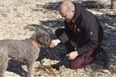 Concurso de Caza de Trufa con Perros. /EM