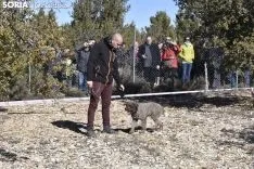 Concurso de Caza de Trufa con Perros. /EM