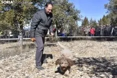 Concurso de Caza de Trufa con Perros. /EM
