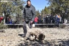 Concurso de Caza de Trufa con Perros. /EM
