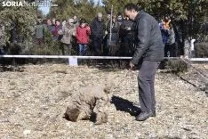 Concurso de Caza de Trufa con Perros. /EM
