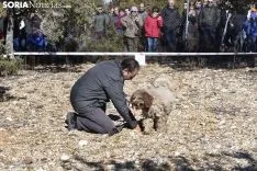 Concurso de Caza de Trufa con Perros. /EM