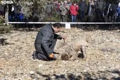 Concurso de Caza de Trufa con Perros. /EM