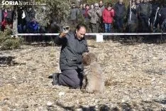 Concurso de Caza de Trufa con Perros. /EM