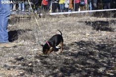 Concurso de Caza de Trufa con Perros. /EM