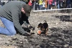 Concurso de Caza de Trufa con Perros. /EM
