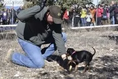 Concurso de Caza de Trufa con Perros. /EM