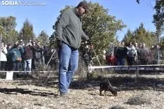 Concurso de Caza de Trufa con Perros. /EM