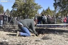 Concurso de Caza de Trufa con Perros. /EM