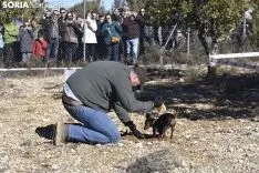 Concurso de Caza de Trufa con Perros. /EM