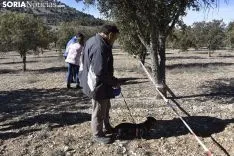 Concurso de Caza de Trufa con Perros. /EM