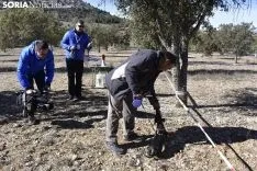 Concurso de Caza de Trufa con Perros. /EM