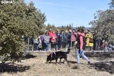 Concurso de Caza de Trufa con Perros. /EM
