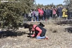 Concurso de Caza de Trufa con Perros. /EM