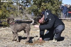 Concurso de Caza de Trufa con Perros. /EM