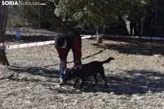 Concurso de Caza de Trufa con Perros. /EM