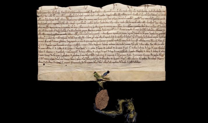Escritura del 14 de junio de 1217 en la que se enuncia a Fernando como rey. 
