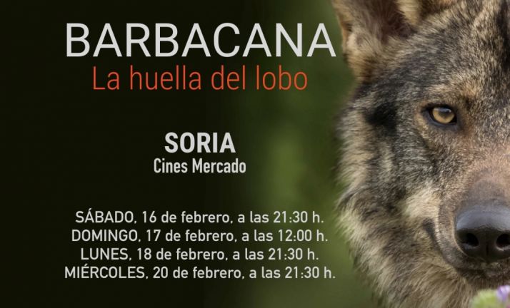 El lobo ibérico deja su huella en Soria