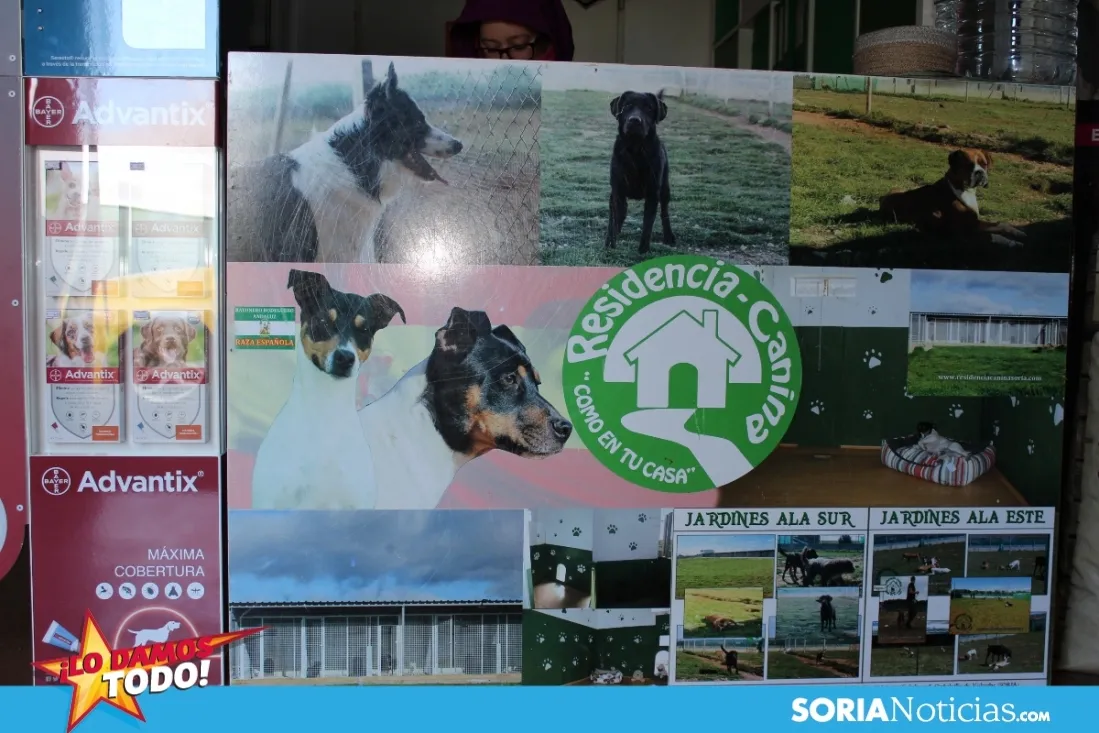 Residencia Canina Soria