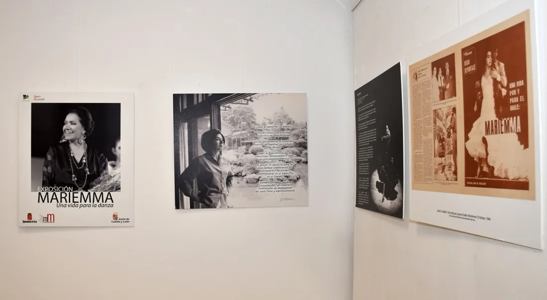 Una imagen de la exposición. 