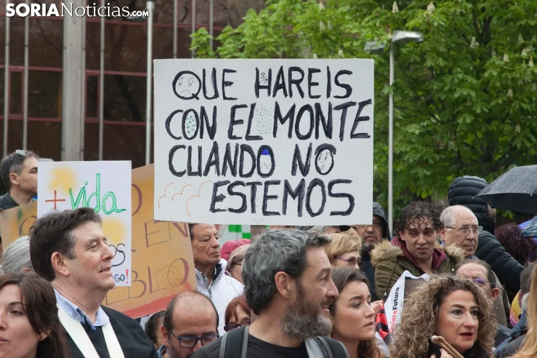 Carteles / María Ferrer