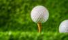 Foto 1 - Este domingo se celebra el VI Torneo de Golf Parador de Soria