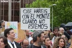 Carteles / María Ferrer