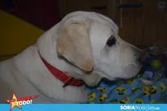 Foto 5 - LDT: Terapia ocupacional o c&oacute;mo sacar a la luz lo mejor de cada peque&ntilde;o