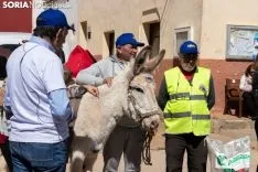 Foto 19 - FOTOS Y VIDEO: Raimundo Mart&iacute;nez y Margarita ya caminan hacia el Ave 
