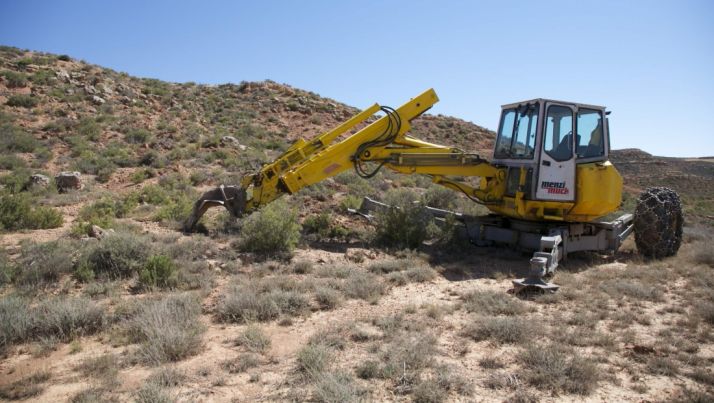 La Junta subvenciona con casi 1,8 millones de euros diversas tareas de reforestación en Soria