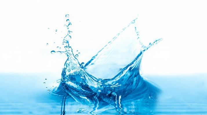 Una carpa celebra este viernes el Día del Agua