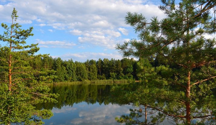 Prorrogado por 1,2 M&euro; el contrato de la Red de Control de la Calidad del Aire de CyL