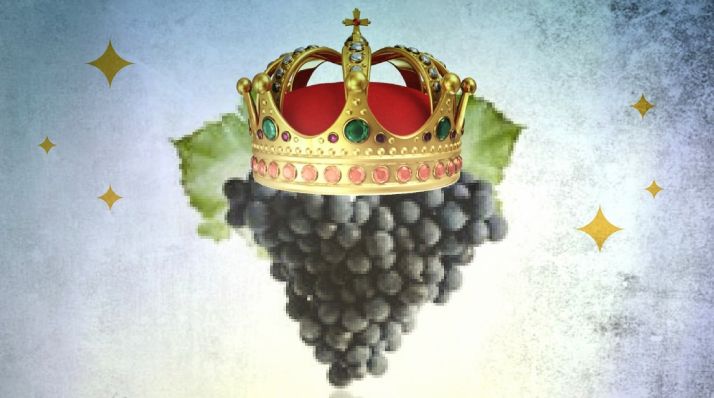 Cata de vinos de garnacha este jueves en el Casino