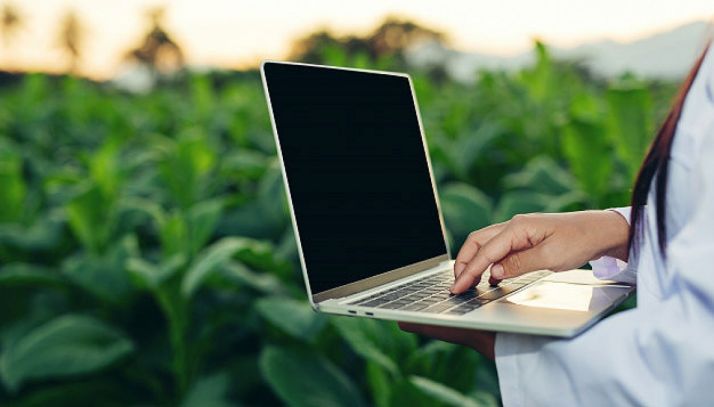 El Gobierno estudia la Estrategia de digitalización del sector agroalimentario y forestal y del medio rural