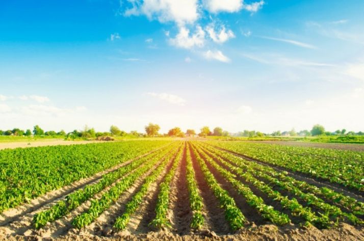 Abierto el plazo de solicitud para las convocatorias de ayudas para la gestión en el campo