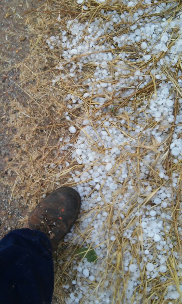 Asaja pide la reducción de los módulos fiscales por las incidencias climatológicas de 2018