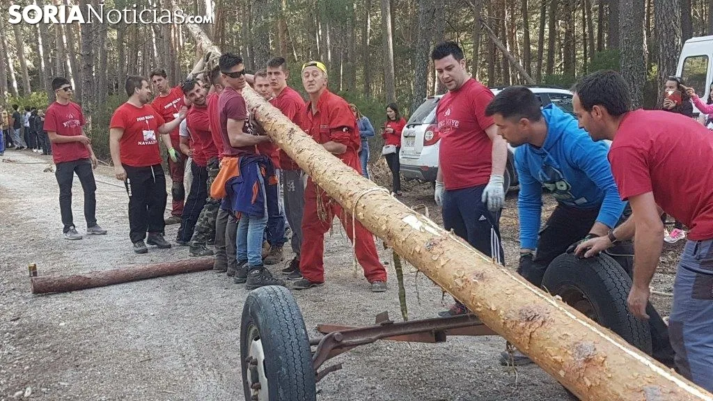 Traída del Pino Mayo en Navaleno.