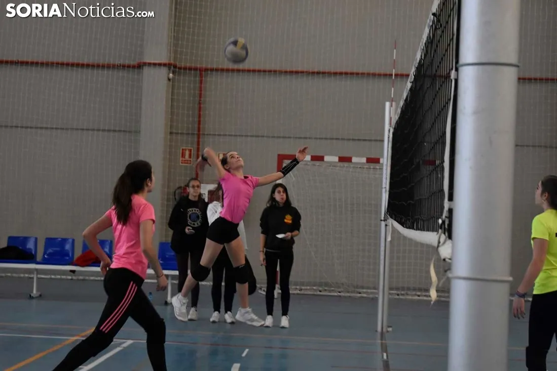 12 horas de mini-voleibol, Memorial José Luis Blasco. 
