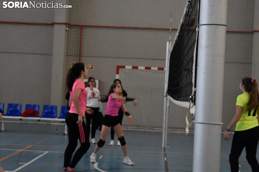 12 horas de mini-voleibol, Memorial José Luis Blasco. 