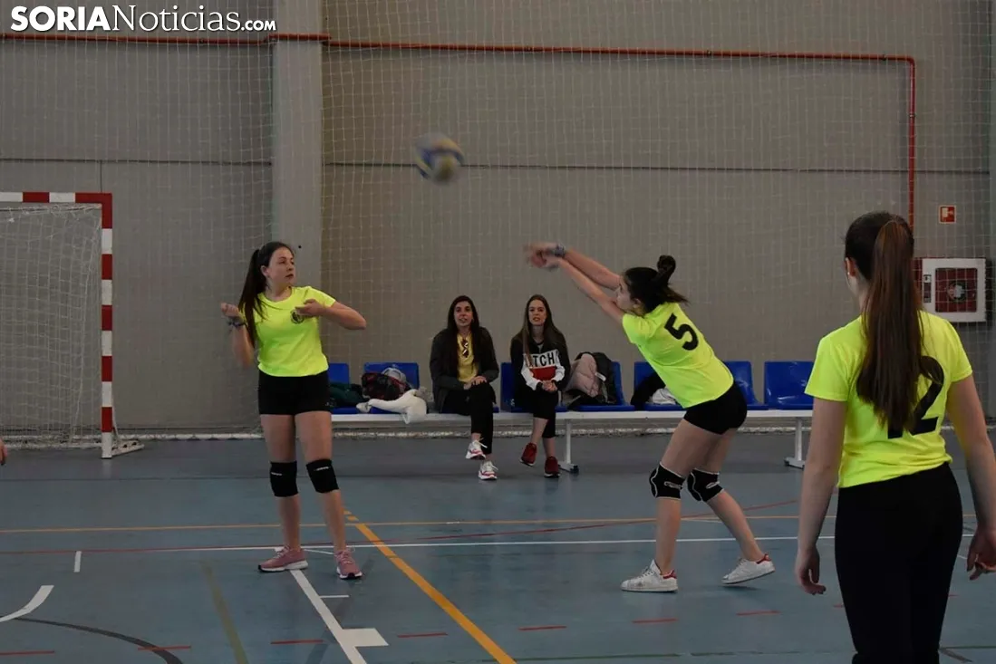 12 horas de mini-voleibol, Memorial José Luis Blasco. 