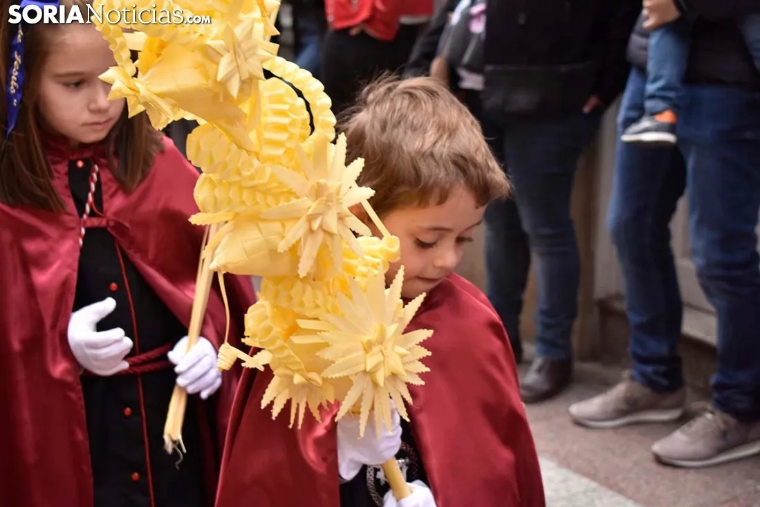 Domingo de Ramos 2019 en Soria. /EM