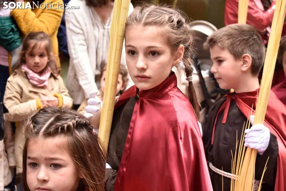 Domingo de Ramos 2019 en Soria. /EM